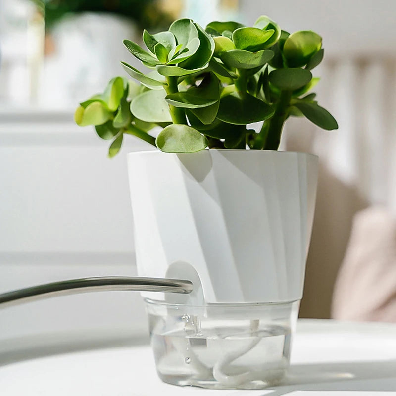 Hydroponic Self-Watering Flower Pot