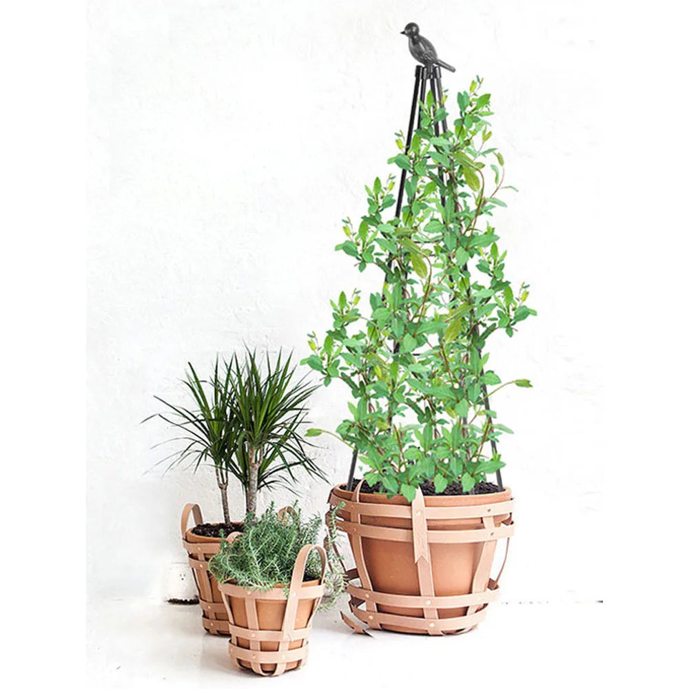 Metal Obelisk Plant Support Frame