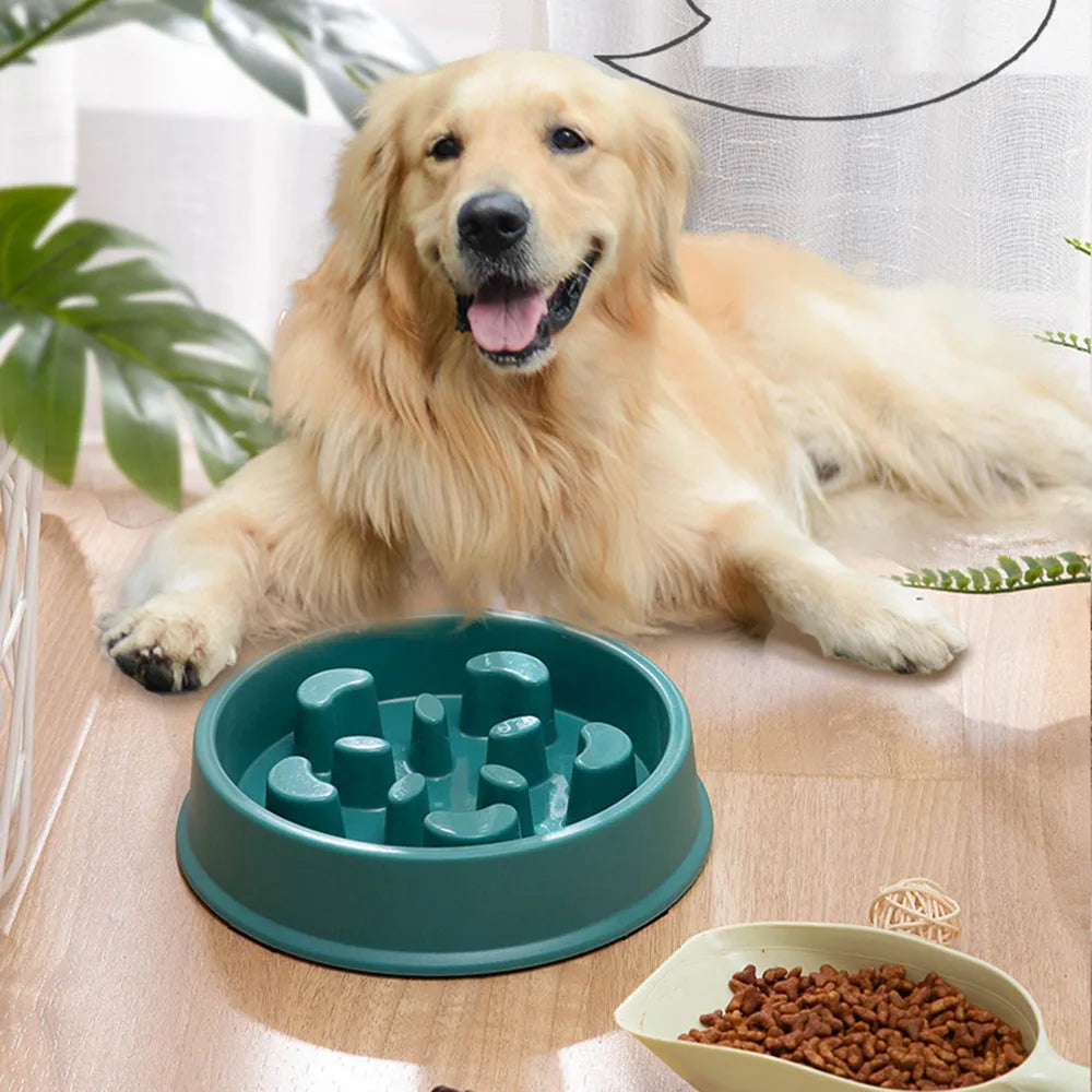 Choke-Proof Pet Slow Food Bowl