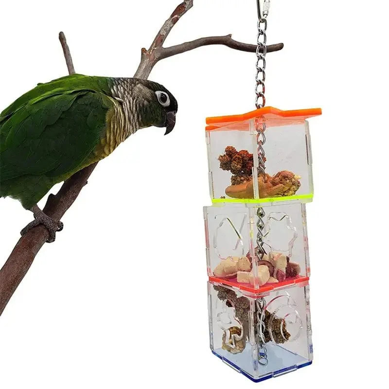 Transparent Parrots Food Feeder