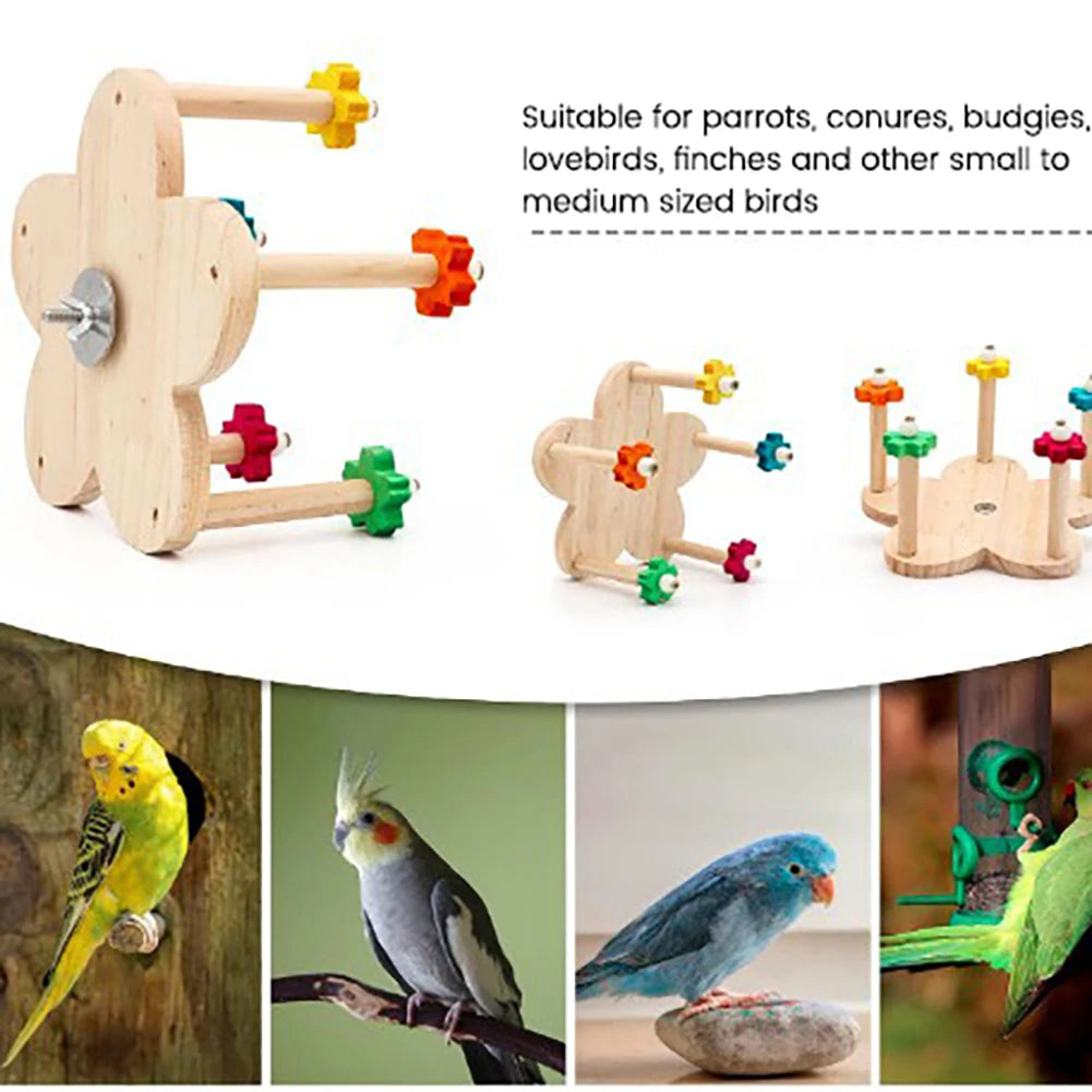 Wooden Parrots Ferris Wheel Toy