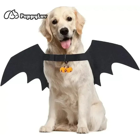 Dog Halloween Bat Wings Costume