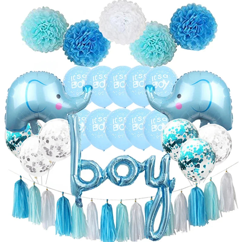 Baby Gender Reveal Party Set