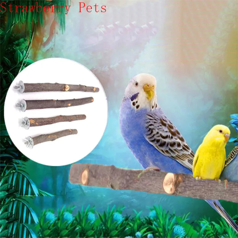 Natural Wood Pet Parrot Branch Stand Rack