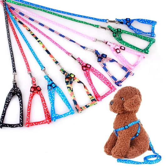 Cute Pet Leash and Harness Set - 10 Colors