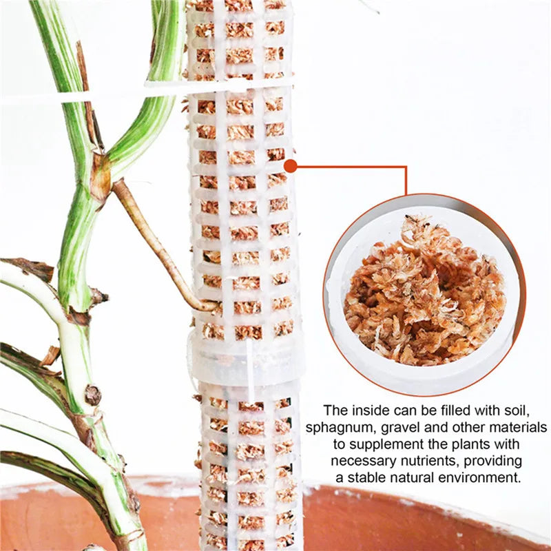 Climbing Plant Support Pole - Easy Vertical Growth