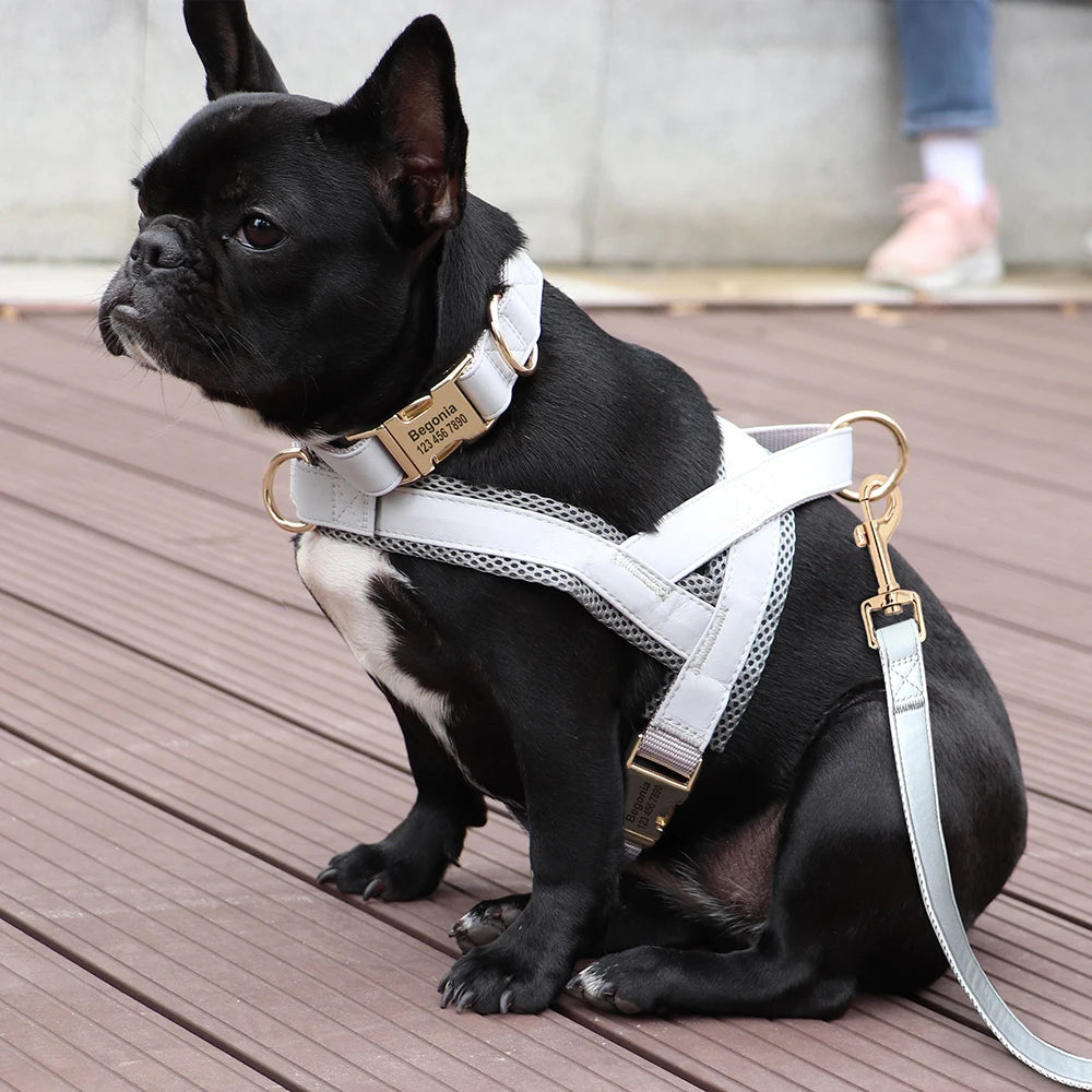 Customized Leather Dog Collar Harness Set