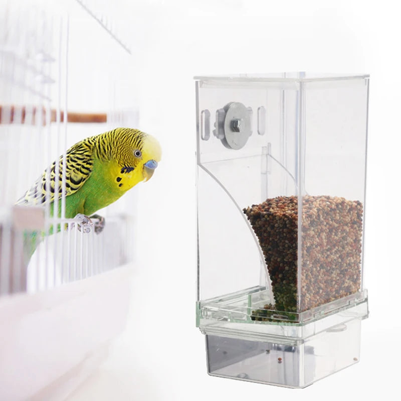 Automatic Acrylic Bird Feeder for Perch Budgerigar