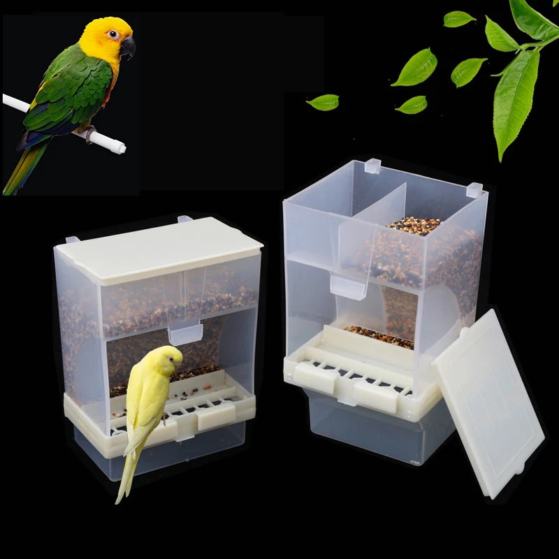 Automatic Acrylic Bird Feeder for Perch Budgerigar