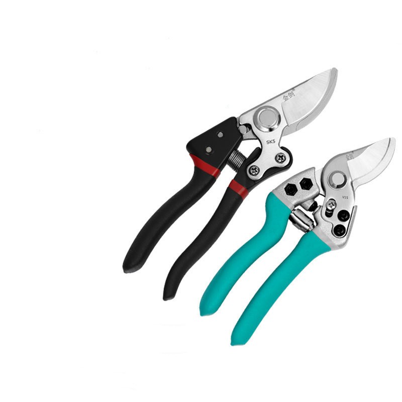 Premium Fruit Tree Flower Scissors