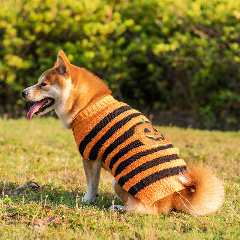 Halloween Dog Sweaters for Perfect Pet Cosplay