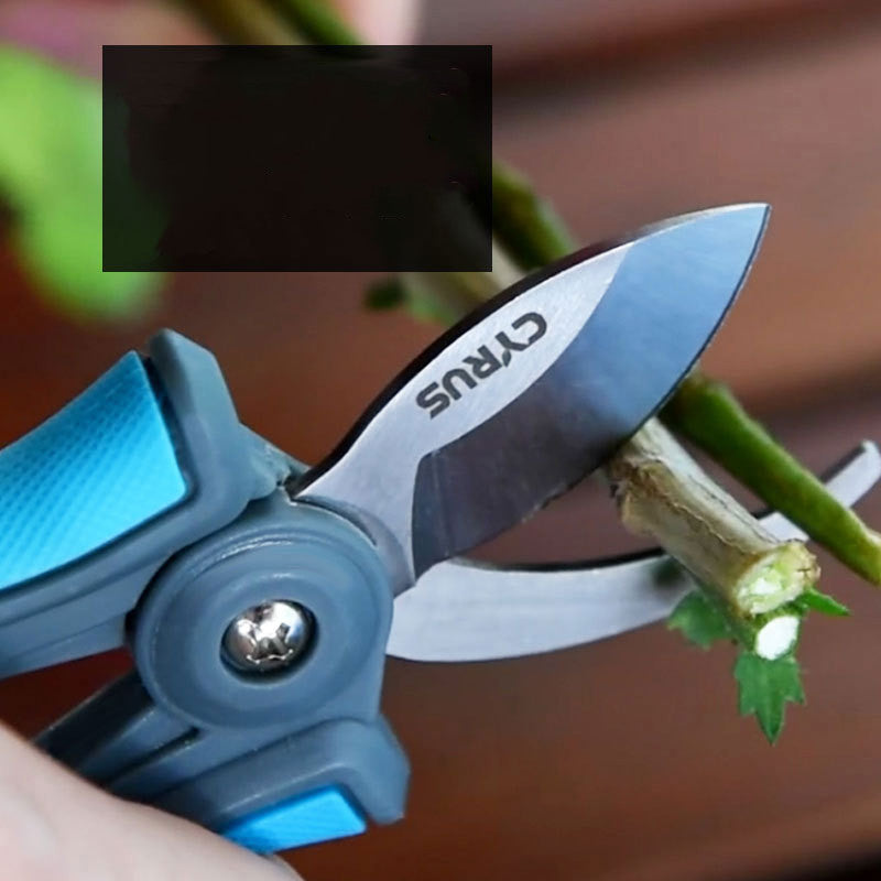 Multifunctional Bonsai Pruning Scissors