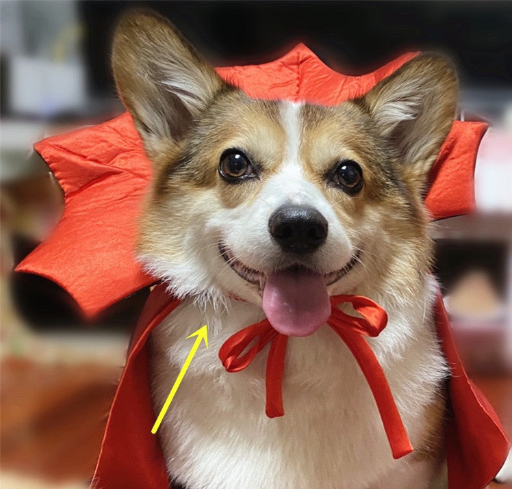 Halloween Pet Costume - Vampire King Cape