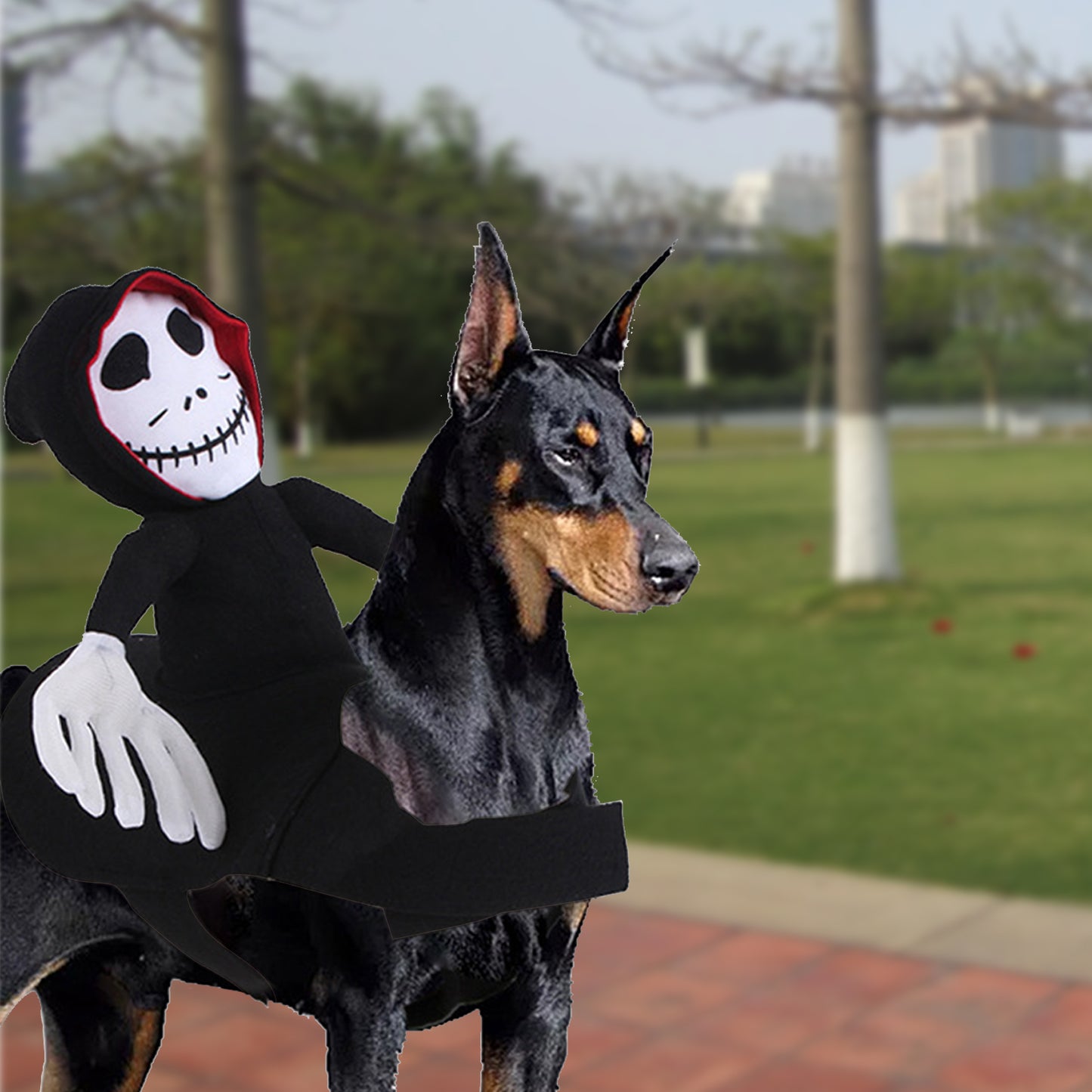 Funny Pet Halloween Cosplay Costume