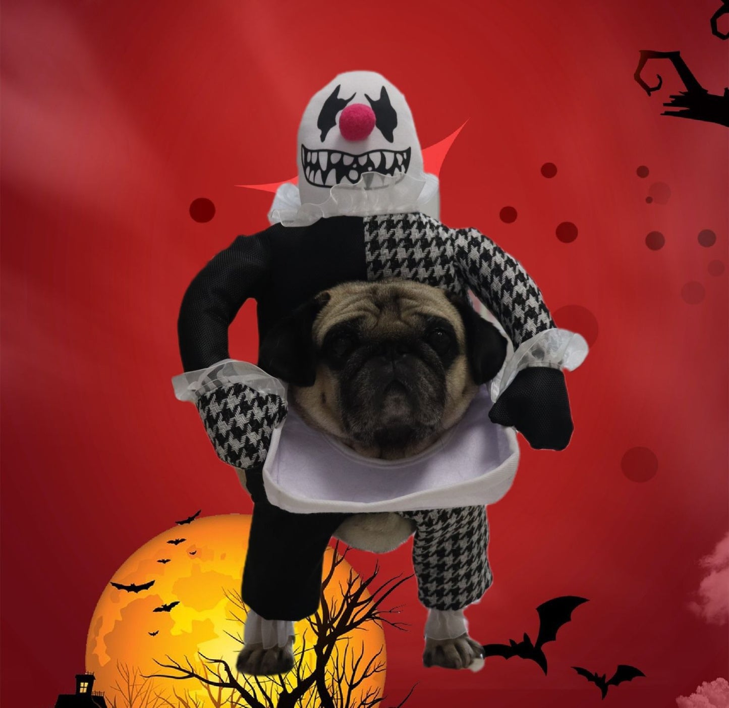 Demon Transformation Halloween Pet Costume